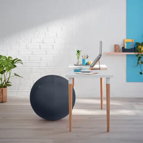 Ergonomische zitbal - Ø 65 cm
