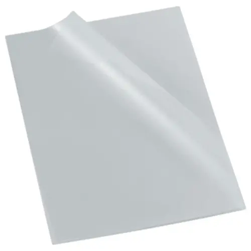 100  Pockets voor munten in gegrafeerd polypropyleen 3,5/100e - kleurloos 