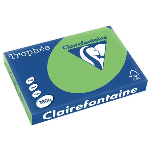 Ramette van 250 vellen intens gekleurd papier Trophée A3 - 160g