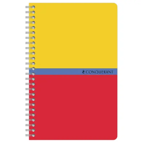 Spiraalnotitieboek 11x17cm 100 pagina's - 5X5 - 70g