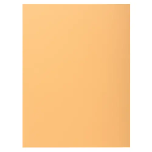100 Hemdjes 1 flap 160 g kaart van hoge kwaliteit PEFC - pastelkleuren