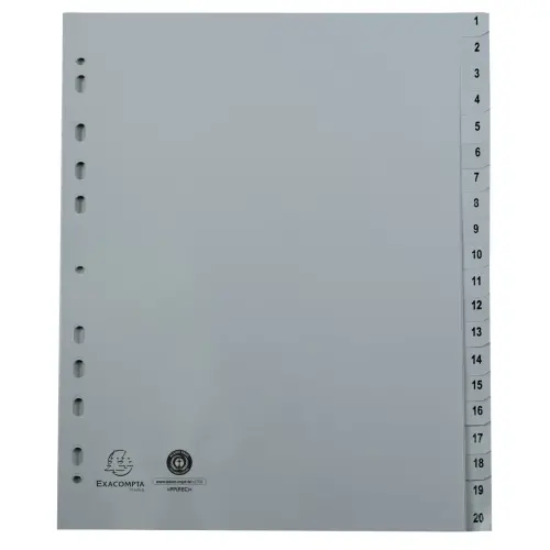 Geprinte digitale PP grijze gerecycleerde scheidingsbladen - 10 posities 