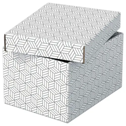 3  Opbergdozen Home - Maat S - Wit - ESSELTE 