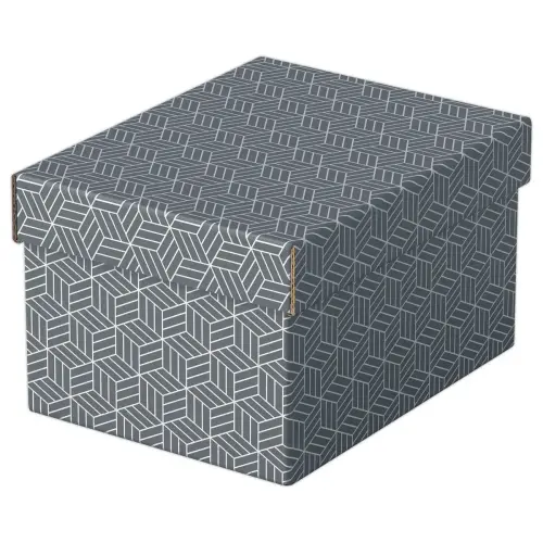 3  Opbergdozen Home - Maat S - Grijs - ESSELTE 