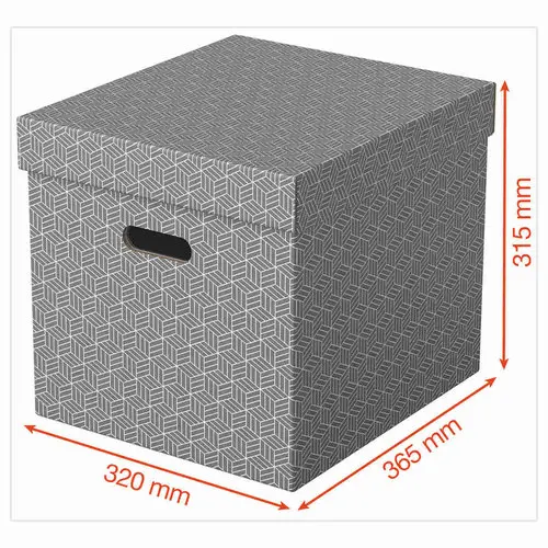 3 Opbergdozen Home - Cube-formaat - Grijs - ESSELTE