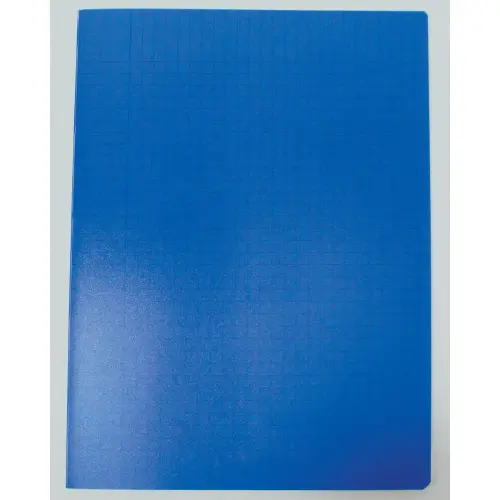 Polypropyleenschrift genaaid 96 bladzijden SEYES 240x320 90g blauw