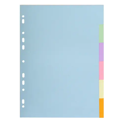 Spel van gerecycleerde stevige scheidingsbladen 3/10e A4-formaat - 6 posities 