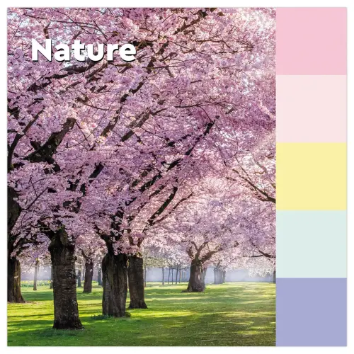 024 Gerecycleerde memoblaadjes Collectie Natuur, 38 x 51 mm