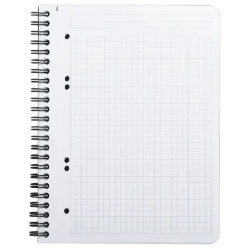 Polypropyleen schrift - 160 pagina's A5+ 5x5 - RHODIA 