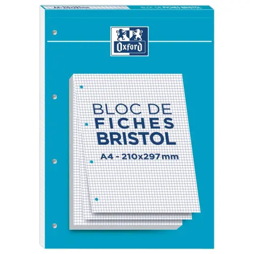Blok van 30 bristolfiches wit A4 5x5