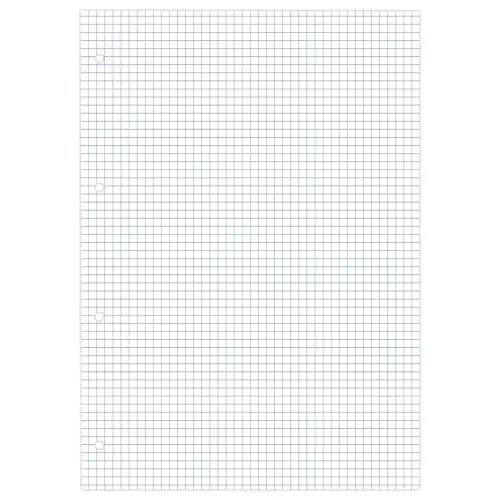 Blok van 30 bristolfiches wit A4 5x5