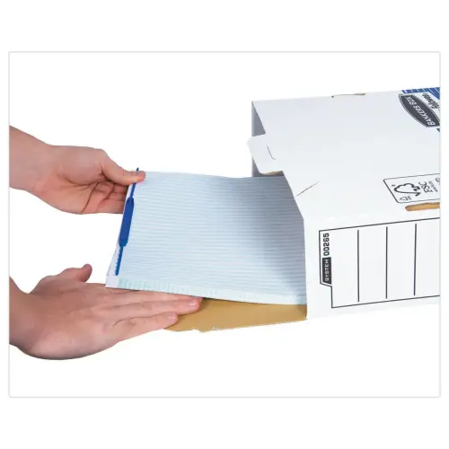 100  Universele A4 archiveringsclips en blauwe lijst FELLOWES 