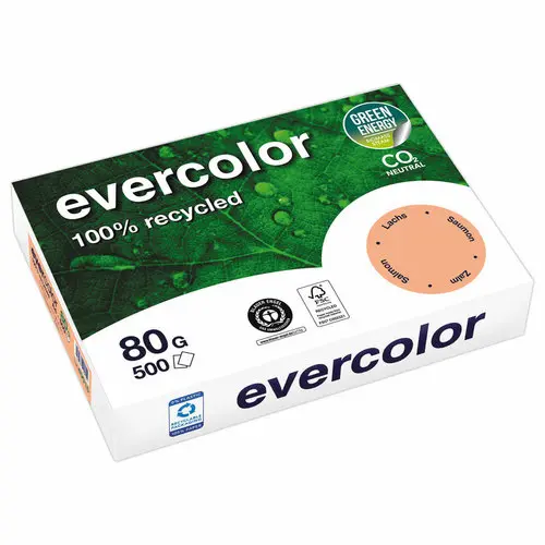 Ramette van 500 vellen gerecycled papier EVERCOLOR A4 80g 