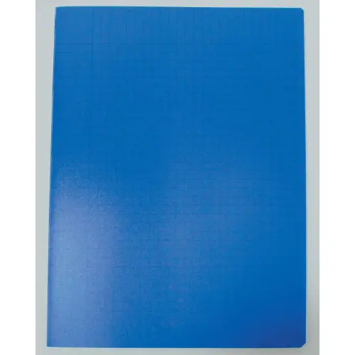 Polypropyleen schrift, gestikt, 48 pagina's SEYES 240x320 90g blauw