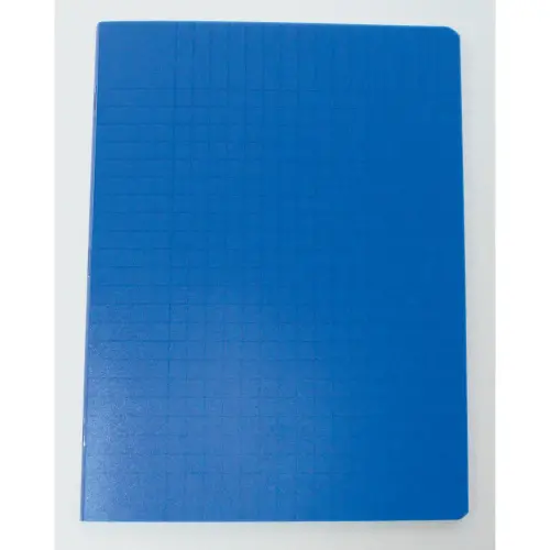 Polypropyleen schrift genaaid 96 pagina's SEYES 170x220 90g blauw
