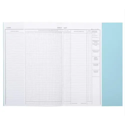 Dagelijks oproepregister Clairefontaine - 29,7 x 21 cm - 24 uitgesneden pagina's - groen
