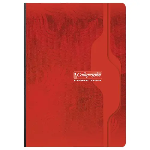 Ingenaaid schrift - 70g - A4 - 192 pagina's - 5X5 - CALLIGRAPHE