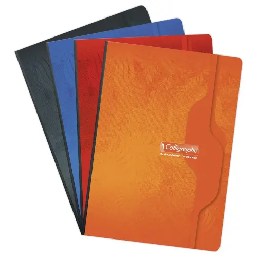 Ingenaaid schrift - 70g - A4 - 192 pagina's - 5X5 - CALLIGRAPHE