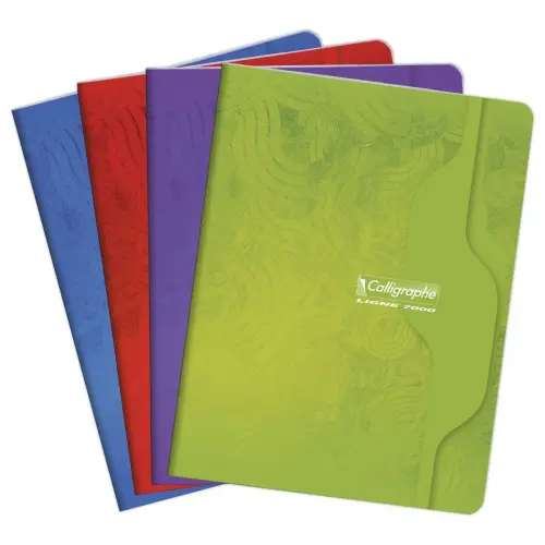 Gehechtd schrift Calligraphe 70g, 17x22 cm, 5x5, 96 pagina's
