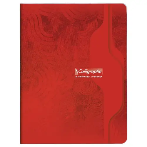 Gehechtd schrift Calligraphe 70g, 17x22 cm, 5x5, 96 pagina's