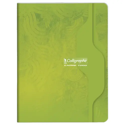Gehechtd schrift Calligraphe 70g, 17x22 cm, 5x5, 96 pagina's