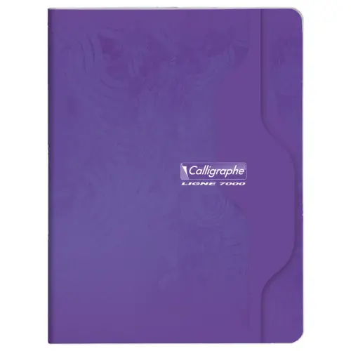 Gehechtd schrift Calligraphe 70g, 17x22 cm, 5x5, 96 pagina's