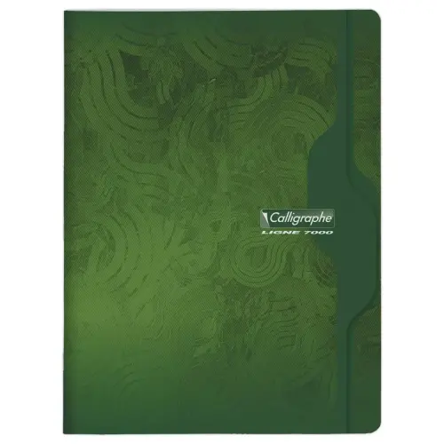 Geheugenboek Calligraphe 70g, 24x32 cm, 5x5, 96 pagina's