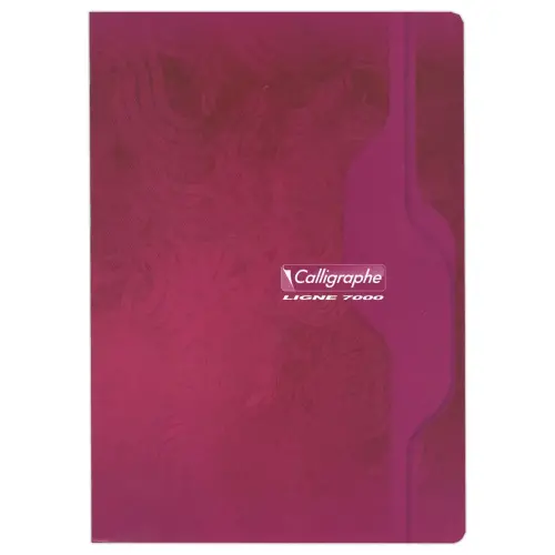Geheugenboek Calligraphe 70G, A4, 5x5, 96 pagina's