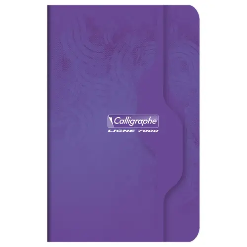 Geheugenboek Calligraphe 70g, 9x14cm, 5x5, 96 pagina's
