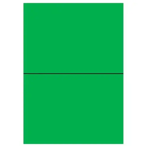 100  Etikettenbladen L210xH148,5 mm 200 etiketten/doos, felgroen 