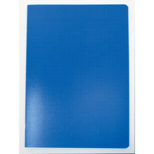 Polypropyleen schrift genaaid 96 pagina's SEYES 210x297 90g blauw 