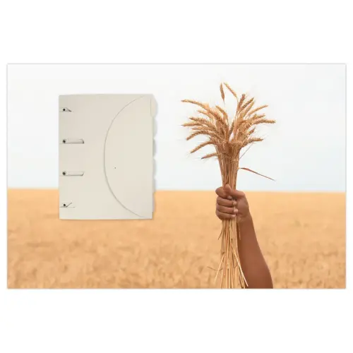6 Mappen Smartfolder Tree Free