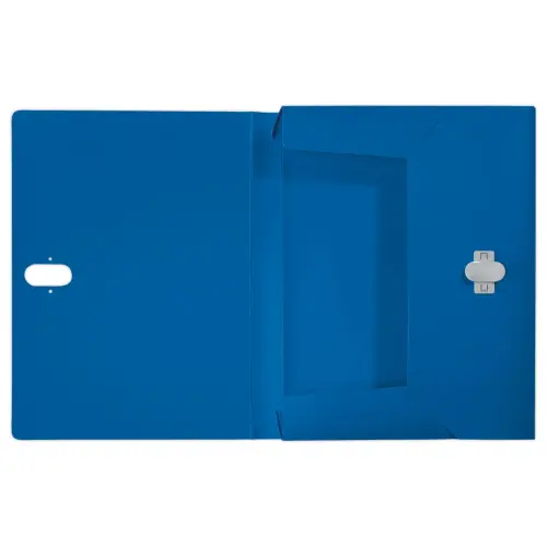 Gerecycleerde klasseerdoos - blauw - LEITZ