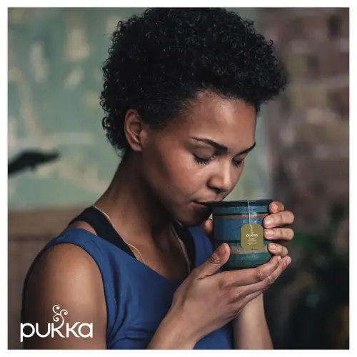 20 Pukka biologische elegante Engelse ontbijtthee in zakjes