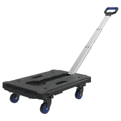 Rollend plateau met telescopische handgreep