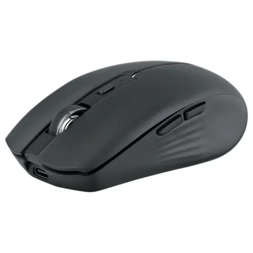 Dual Connect zwarte gradient muis