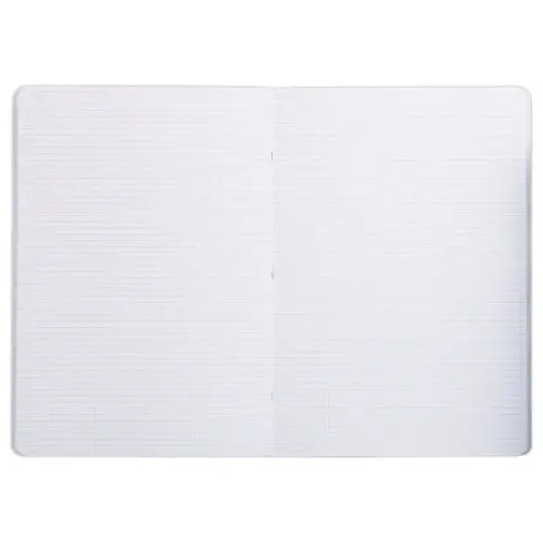 A4 schrift met 96 pagina's kleine vierkantjes - willekeurige kleur 