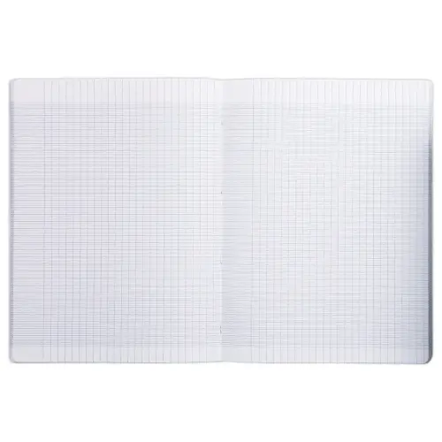 Gepunte schrift 24x32 cm 96 pagina's grote vakken - willekeurige kleur