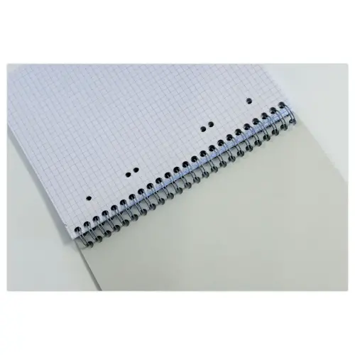 Spiraalschrift 70g - A5+ 5x5 - 160 pagina's - FIDUCIAL
