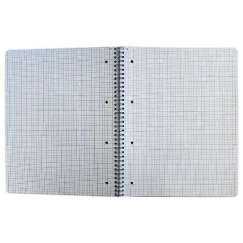 Spiraalschrift -  70g - A4+- 160 p - FIDUCIAL 