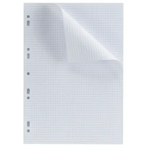 50  dubbele vellen schrijfpapier A4 70g 5x5 9 perforaties 