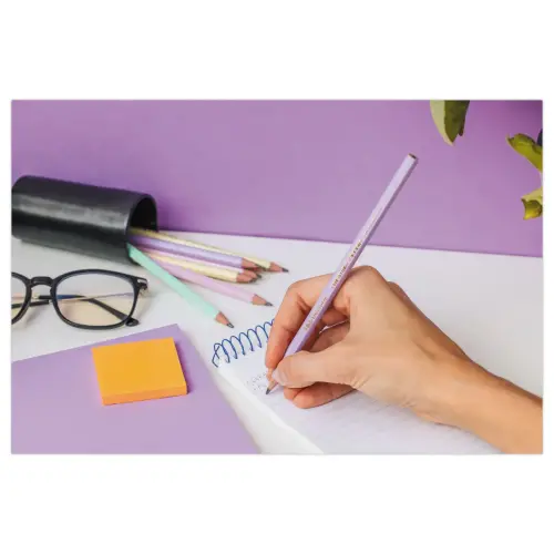 12  Pastel potlood BIC 