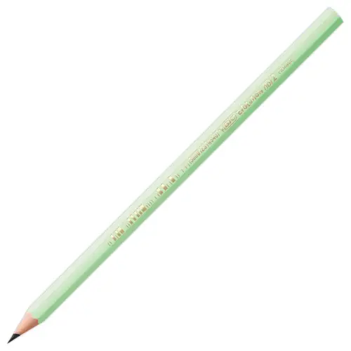 12  Pastel potlood BIC 