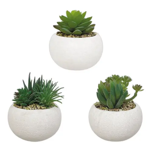 3 kunstmatige vetplanten