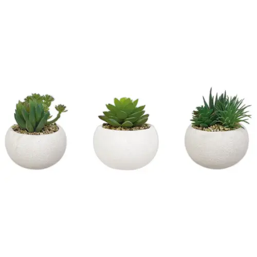 3 kunstmatige vetplanten