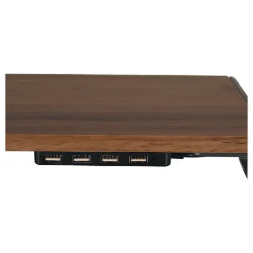 Ergonomische steun voor computerscherm met 4 USB-poorten