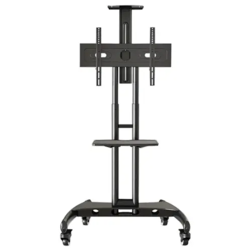 65" IIYAMA scherm + mobiele rolsteun 