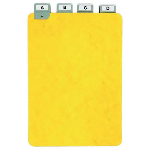Tabbladen voor kaartenbakken - A5 staand- 25 tabs - H210x L148 mm