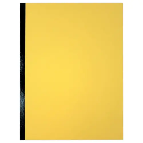 10 Mappen met brede versterkte rug - Zijvouw 3 cm - Karton 300g - Geel