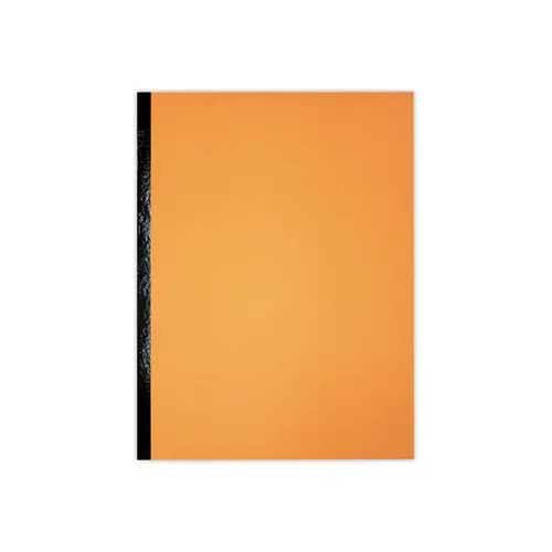 10 Brede versterkte rugmappen - Zijvouw 3 cm - Karton 300g - Oranje - ACCESS
